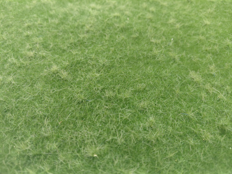 miniNatur 641-32S – Wiese hoch, Matte 17 x 26 cm, Sommer 