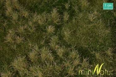 miniNatur 621-33S – Auenwiese hoch, Matte 17 x 26 cm, Herbst 