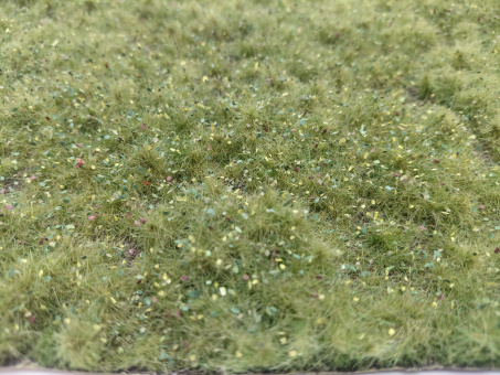 MiniNatur 631-23S – Wildwuchs niedrig, Matte 17 x 26 cm, Frühherbst 