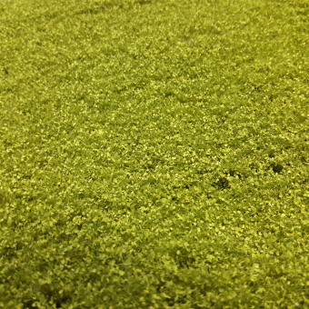 MiniNatur 942-21S – Lindenlaub, Matte 4 x 15 cm, Frühling 