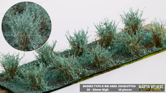 Martin Welberg Scenic Studios SAEG – Eukalyptussträucher Typ A, Grün 