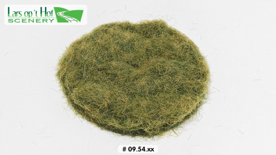 Lars op 't Hof Scenery 09.54 – Gras-Flock, Frühherbst, 4 mm 
