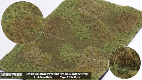 Martin Welberg Scenic Studios M014 – Ödlandwiese mit Unkraut, Winter, Fertigmatte 