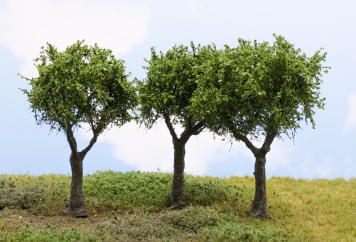 Martin Welberg Scenic Studios TMMG2 – 3 Fine Scale Bäume, Medium Medium Green / Mittelgrün, ca. 8–12 cm 