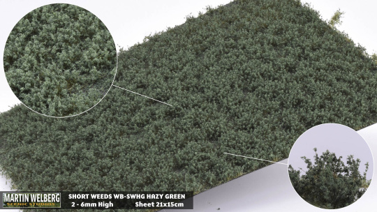 Martin Welberg Scenic Studios SWHG – Kurzes Unkraut Graugrün (Hazy Green), 2–6 mm, 21 × 15 cm 