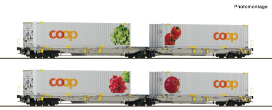 Roco 6600322 – 2-tlg. Set 1 Doppeltaschen-Gelenkwagen T2000, railCare 