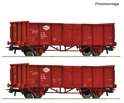 Roco 6600301 – 2-teiliges Set Offene Güterwagen der MAV 