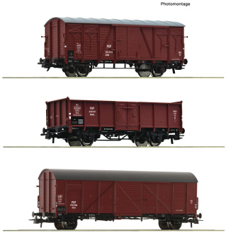 Roco 6600273 – 3-teiliges Set Güterwagen der PKP 