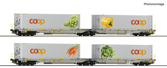 Roco 6600464 (DC) – 2-teiliges Doppeltaschen-Gelenkwagen-Set T2000 der railCare 