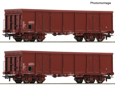 Roco 6600381 (DC) – 2-teiliges Set offener Güterwagen der SNCF 