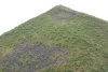 morepic-2