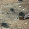 morepic-2