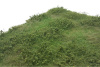morepic-2
