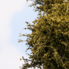 morepic-2