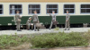 morepic-2