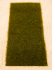morepic-3