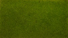 morepic-3