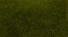 morepic-3