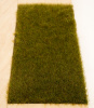 morepic-3