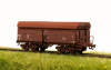 morepic-4