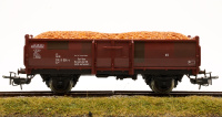 morepic-6