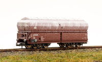 morepic-6