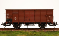 morepic-8