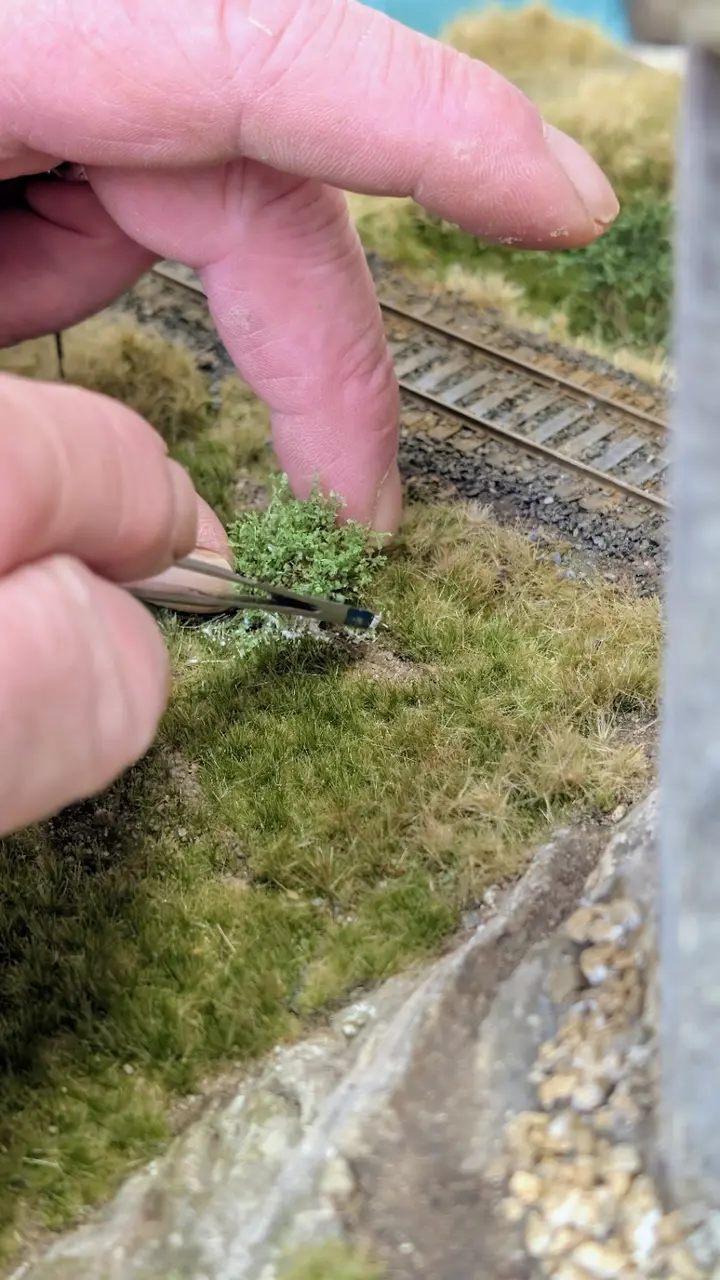 Ein Busch wird mit einer Pinzette in die Modelllandschaft eingesetzt