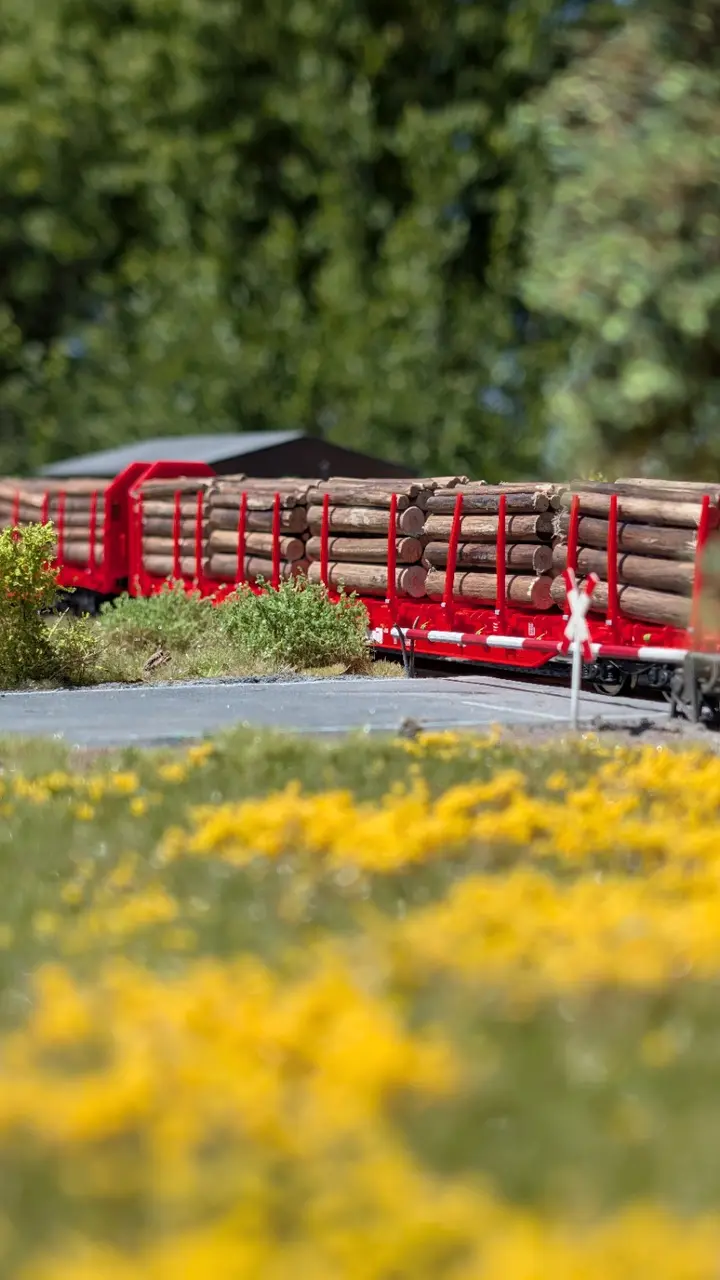 Rote Holzwagen an einem Bahn&uuml;bergang