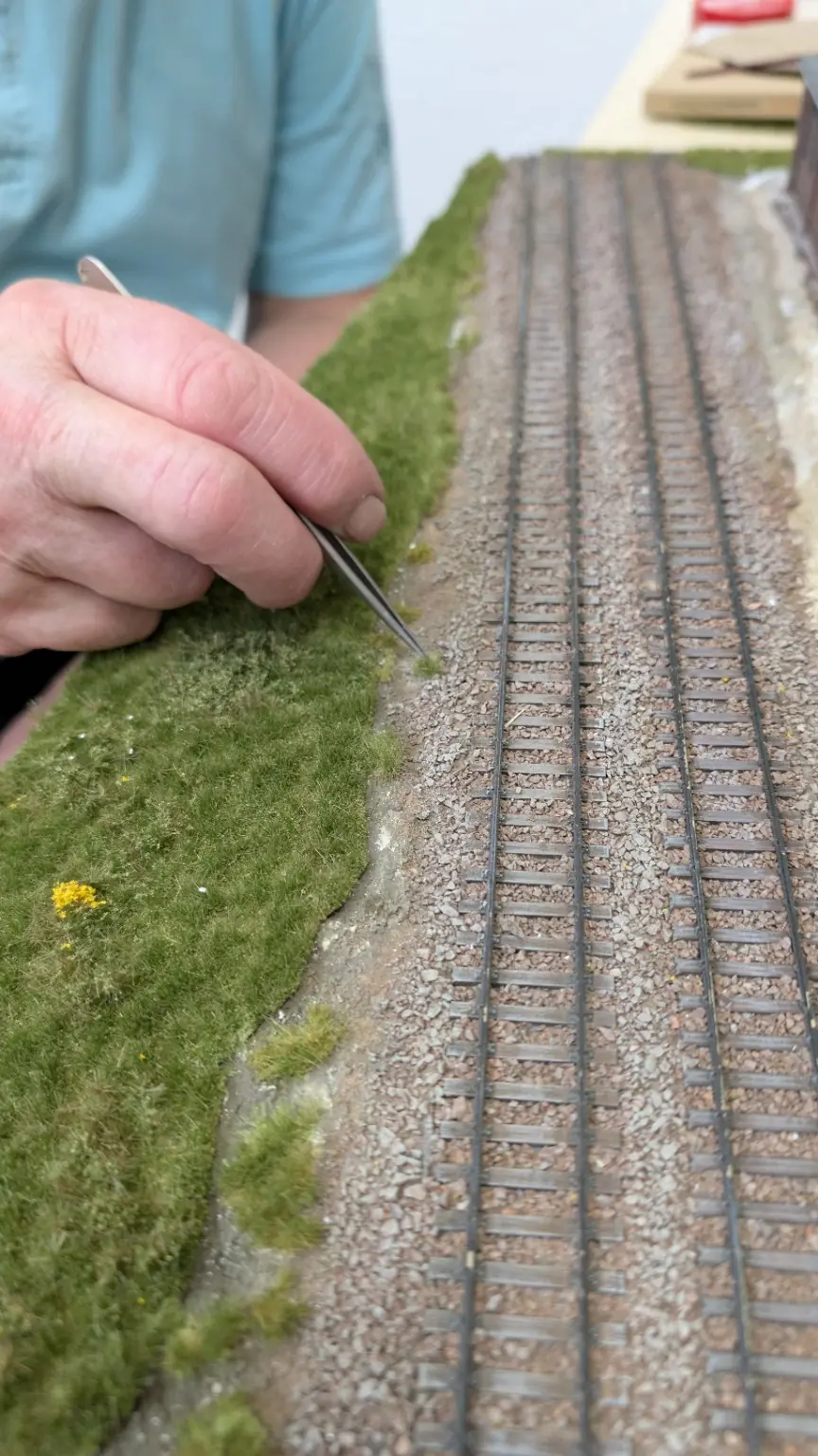 Martin-Welberg-B&uuml;sche werden mit einer Pinzette zwischen Landschaftsmatte und Gleis gesetzt