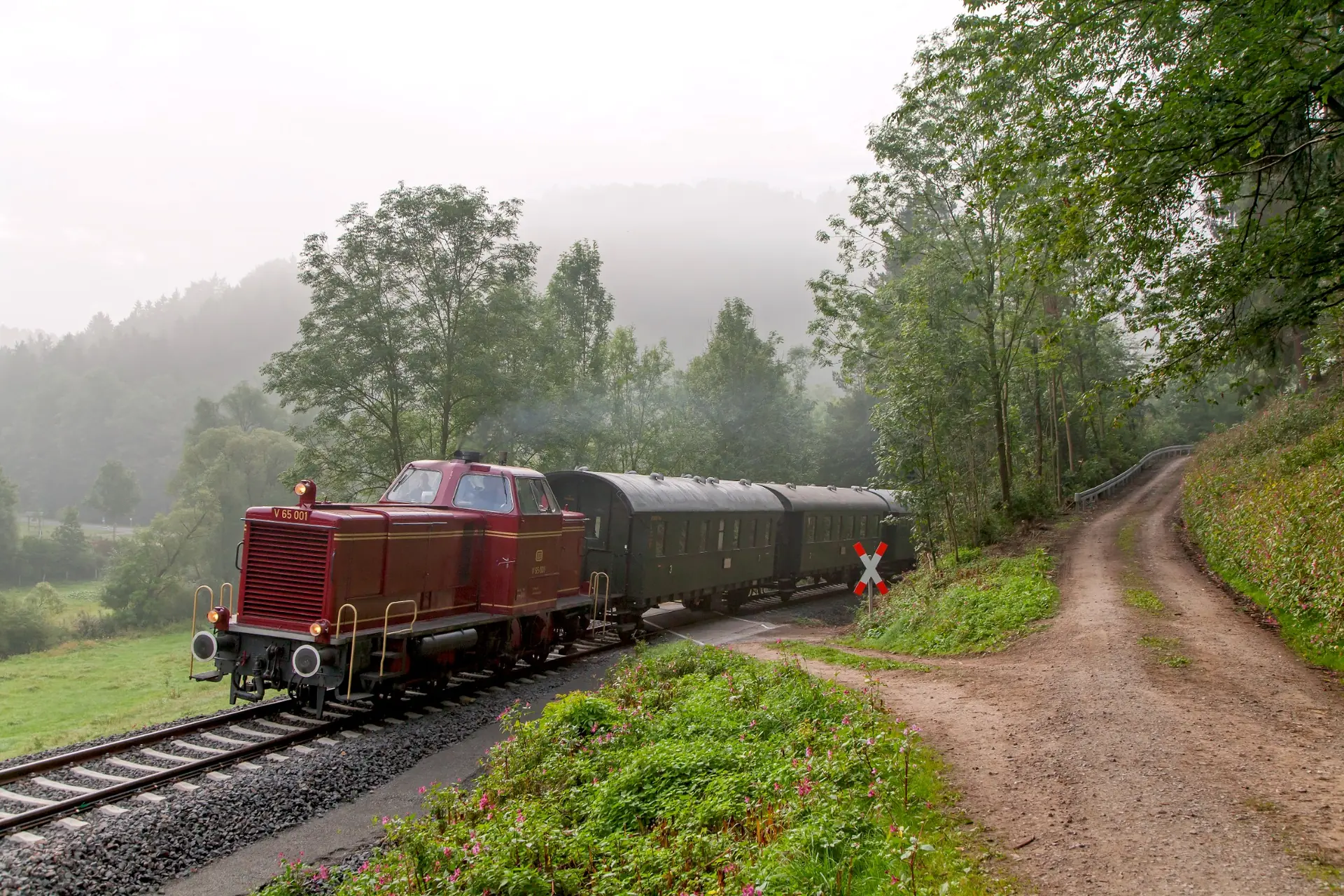 Vorbildaufnahme einer Nebenbahn am feuchten Waldrand mit Wirtschaftsweg und dichter Vegetation